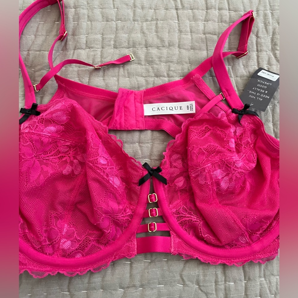 Cacique collection 42D curvy balconette Pink bra